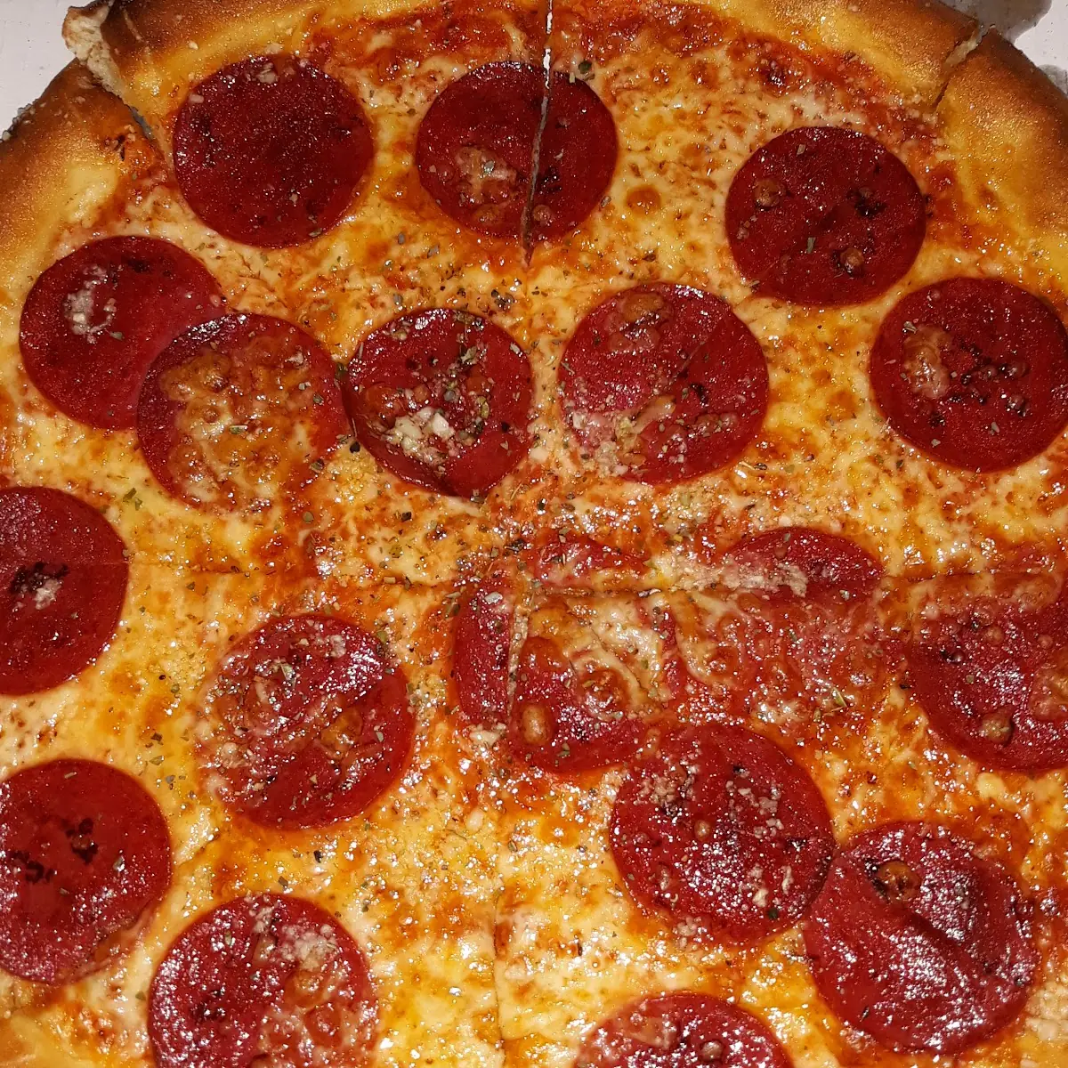 Pizza Salami