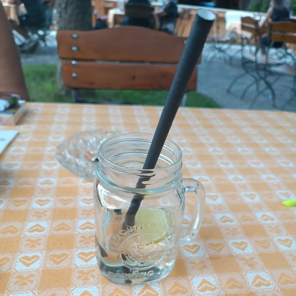 Holunder Spritzer