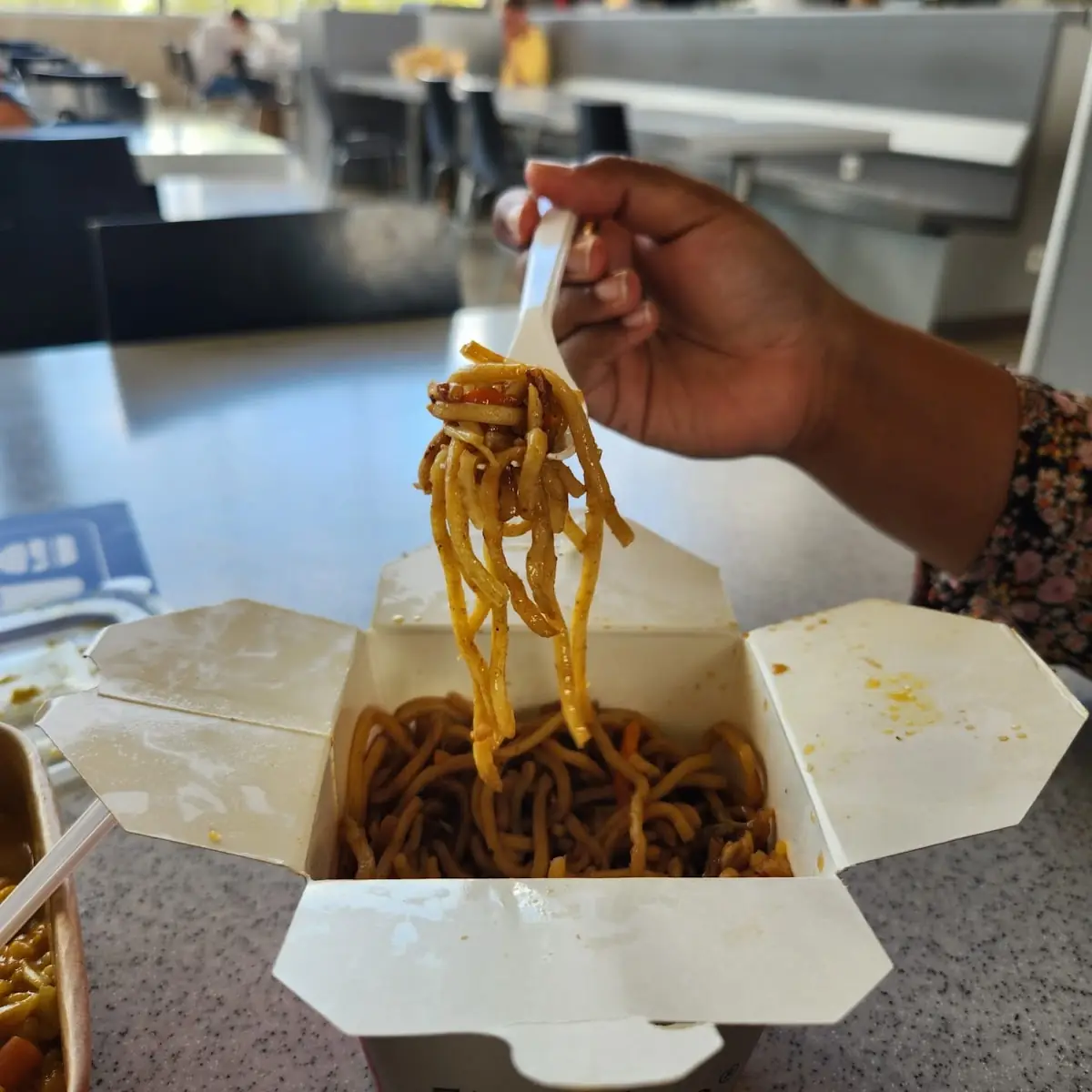 Fried Noodles