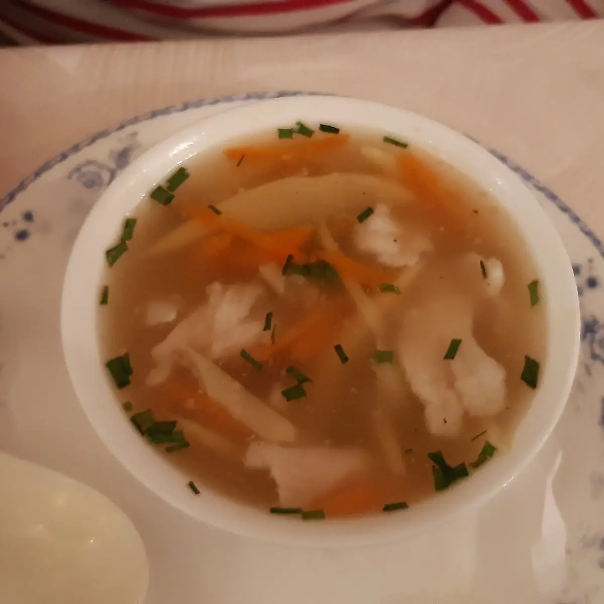 Pikant-säuerliche Suppe Oder Frühlingsrolle