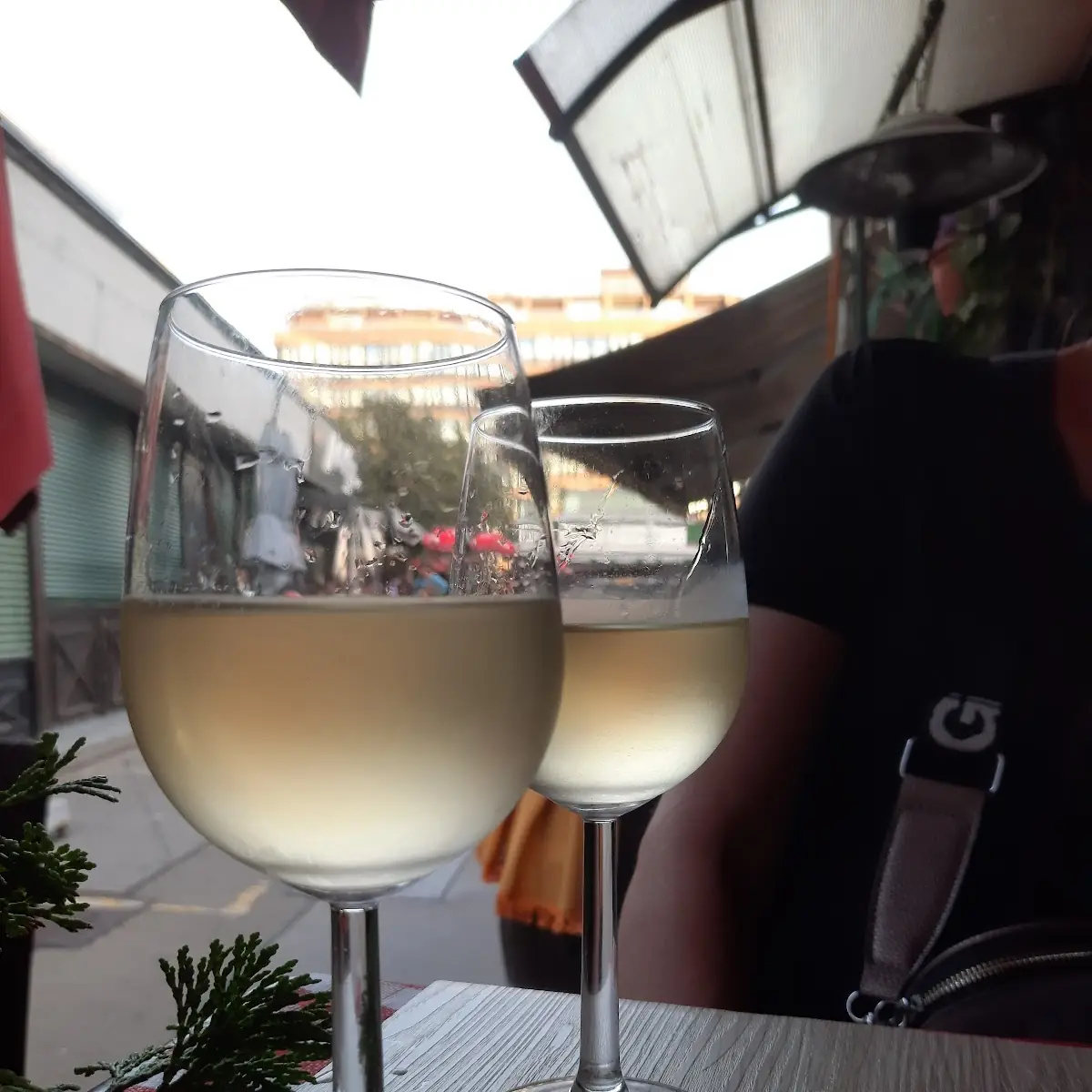 Friulano Wine by the Glass