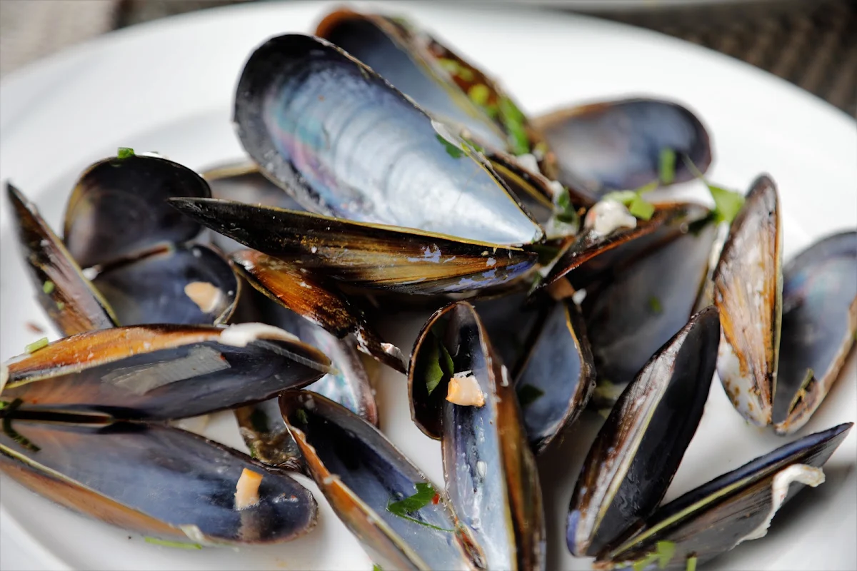 Muscheln Mit Tomatensauce