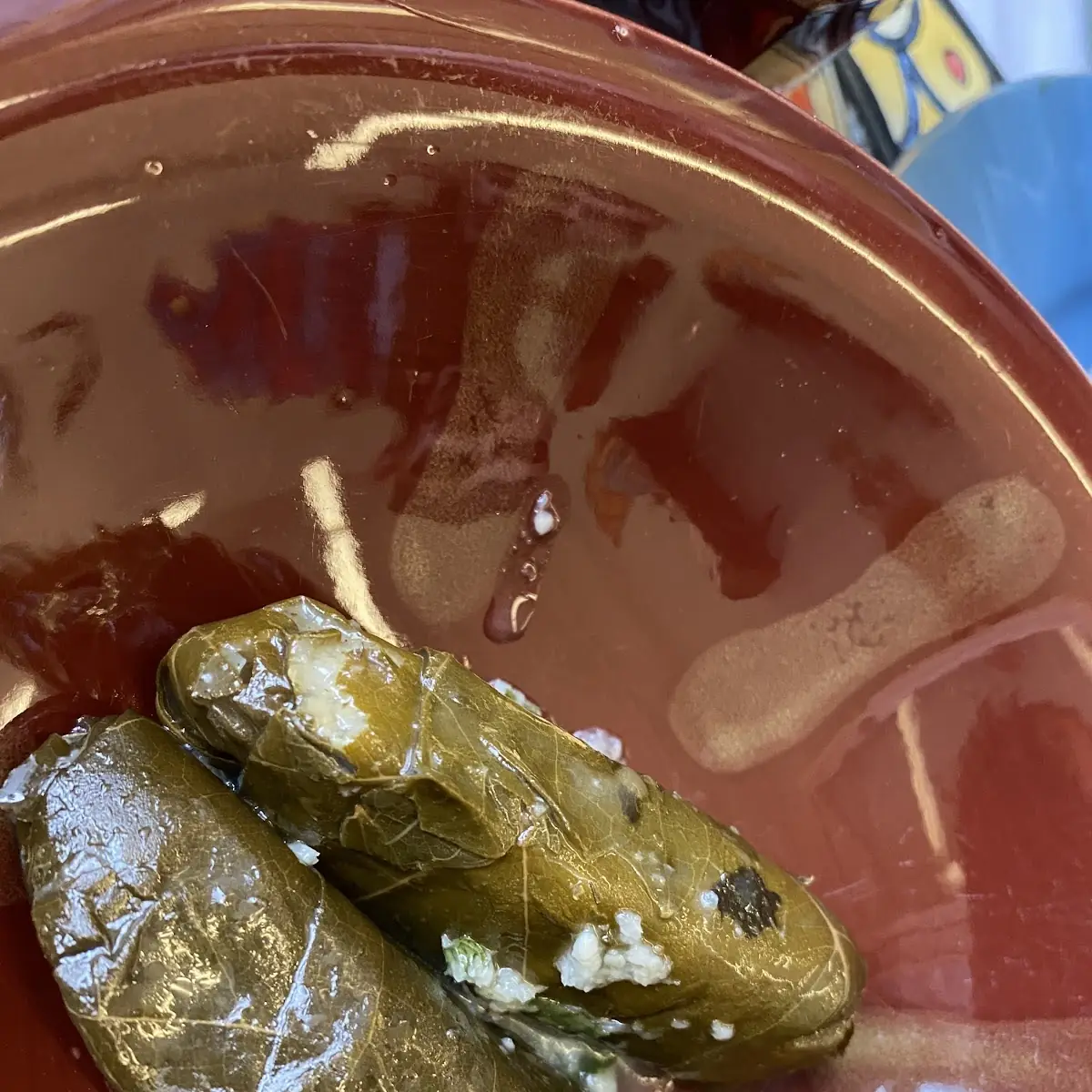 Weinblätter Vegan