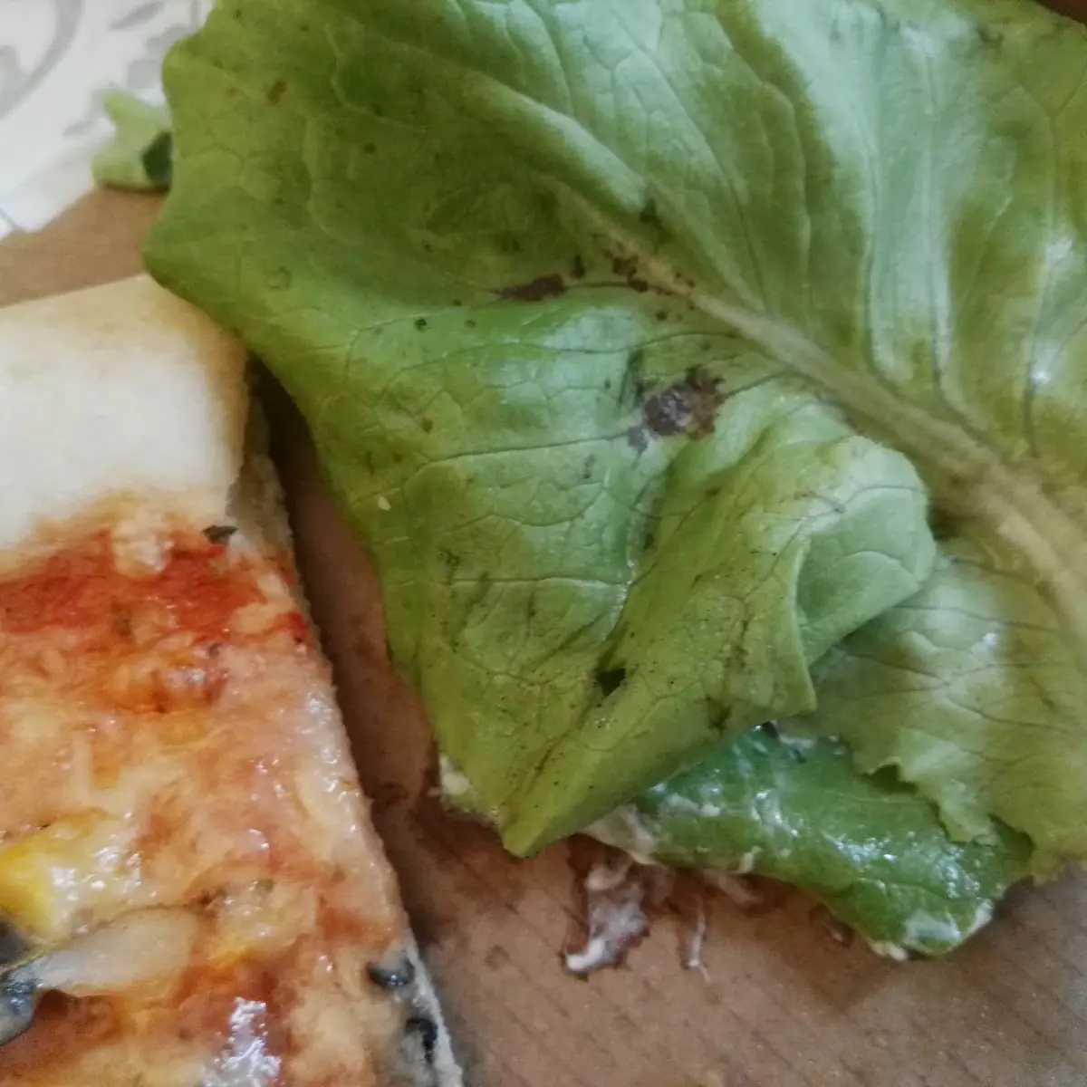 Die Pizza