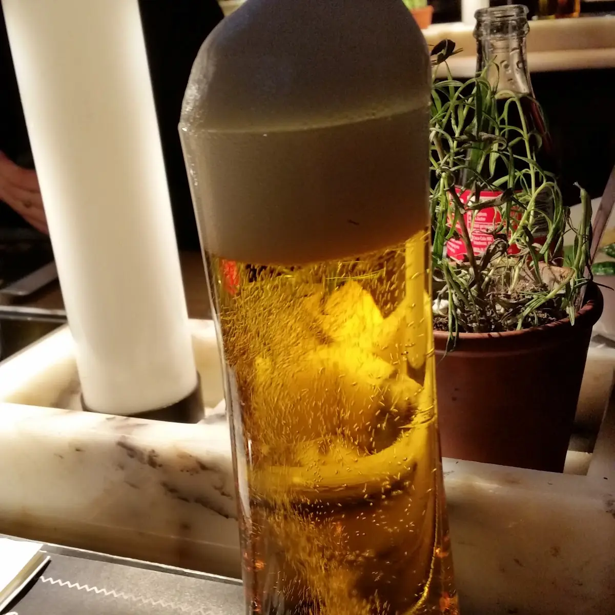 Bier