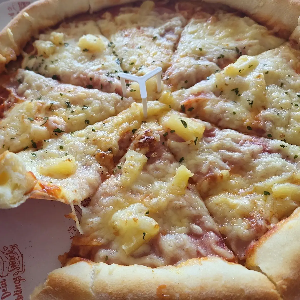 Pizza Kebap
