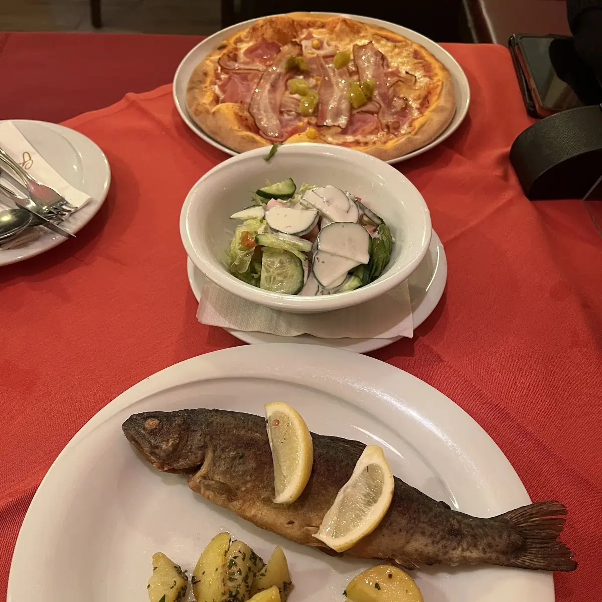 Salmon