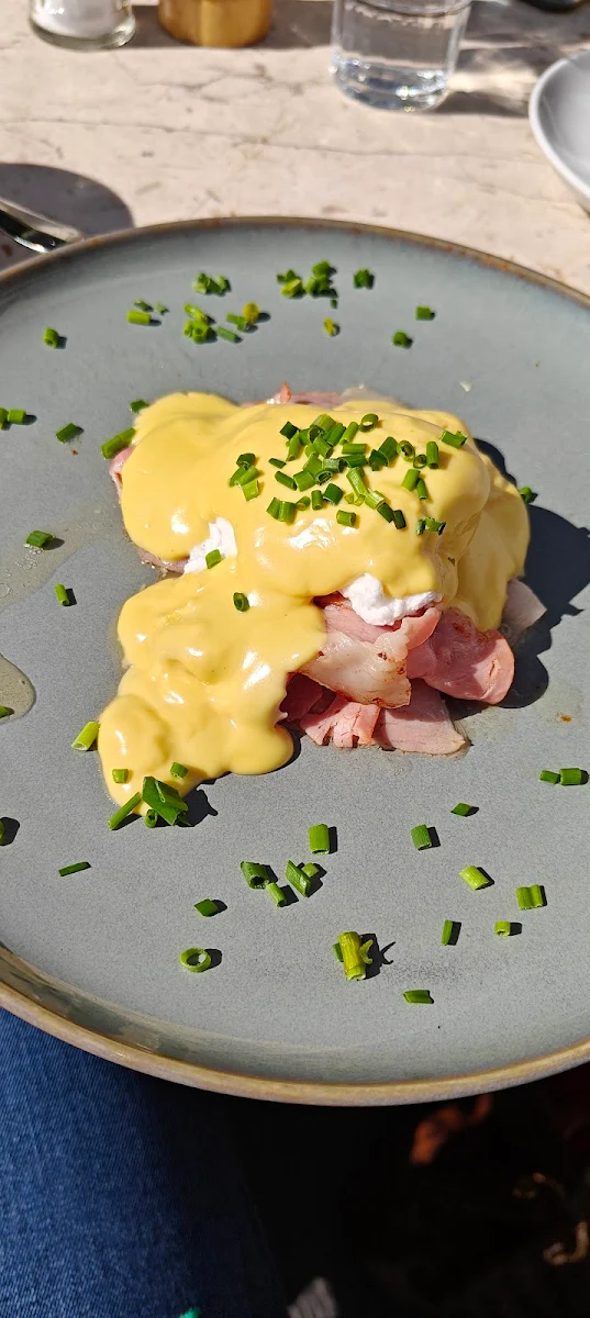 Egg Benedict