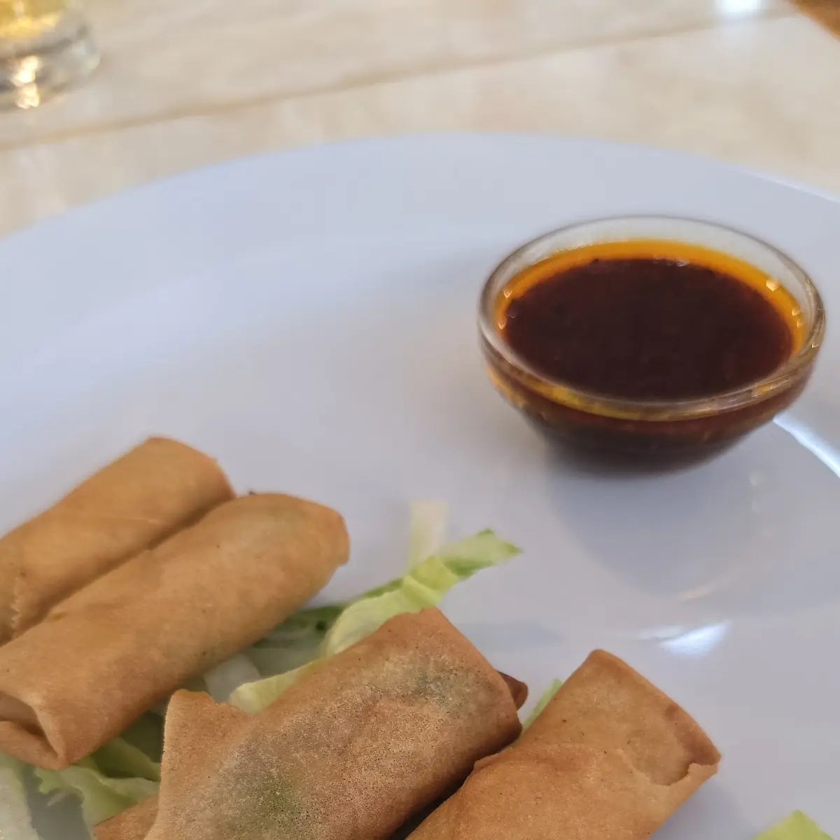 Knusprige Frühlingsrolle Vegetarisch