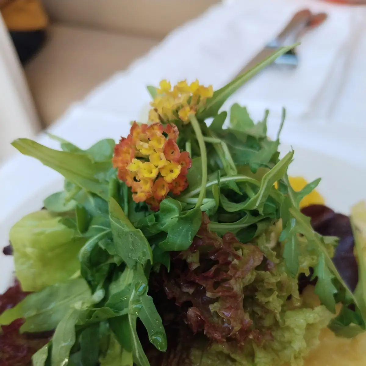 Gemischter Salat