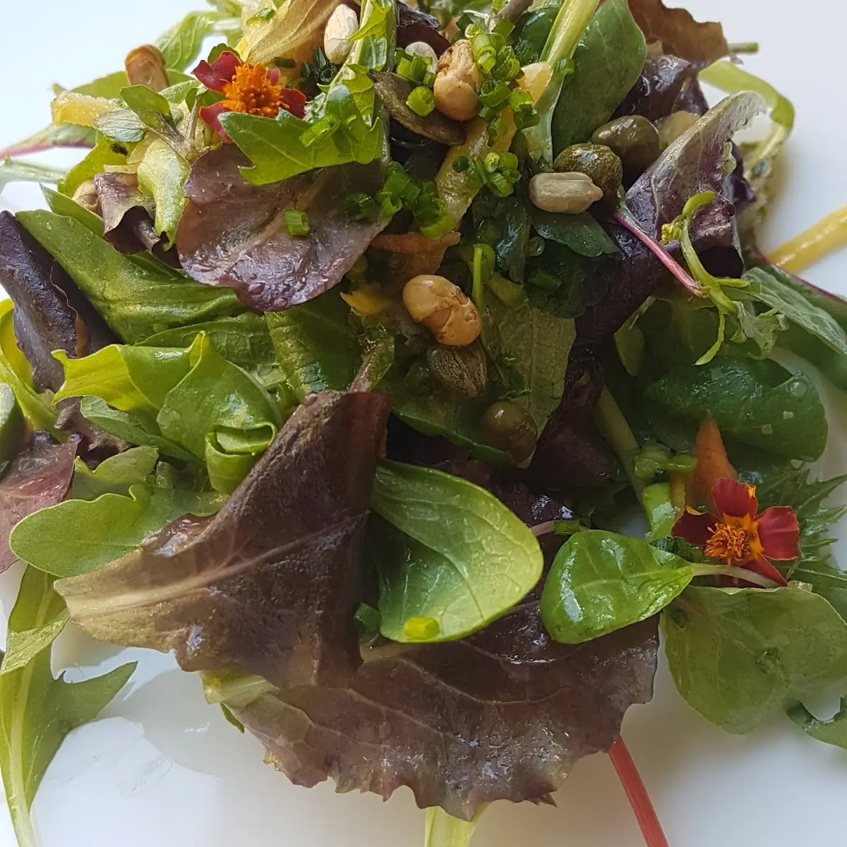Gemischter Salat Ausgezeichnet