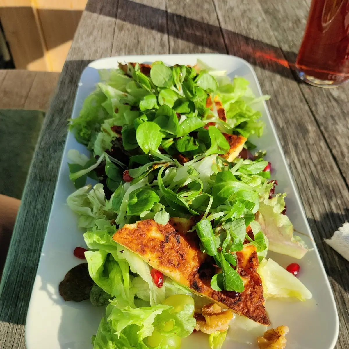 Halloumi Auf Blattsalat
