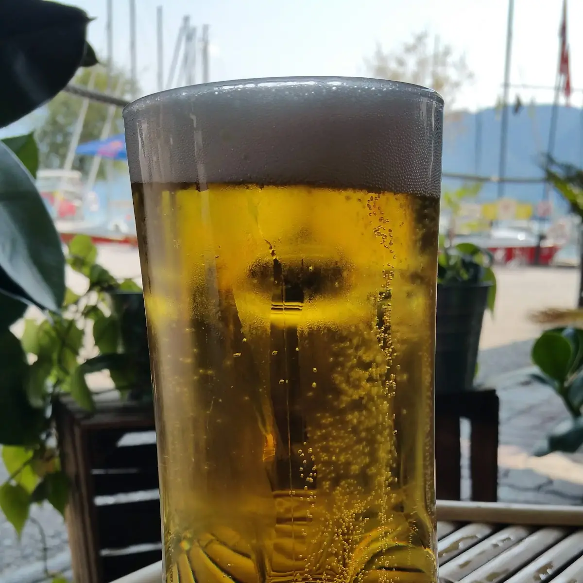 Pils