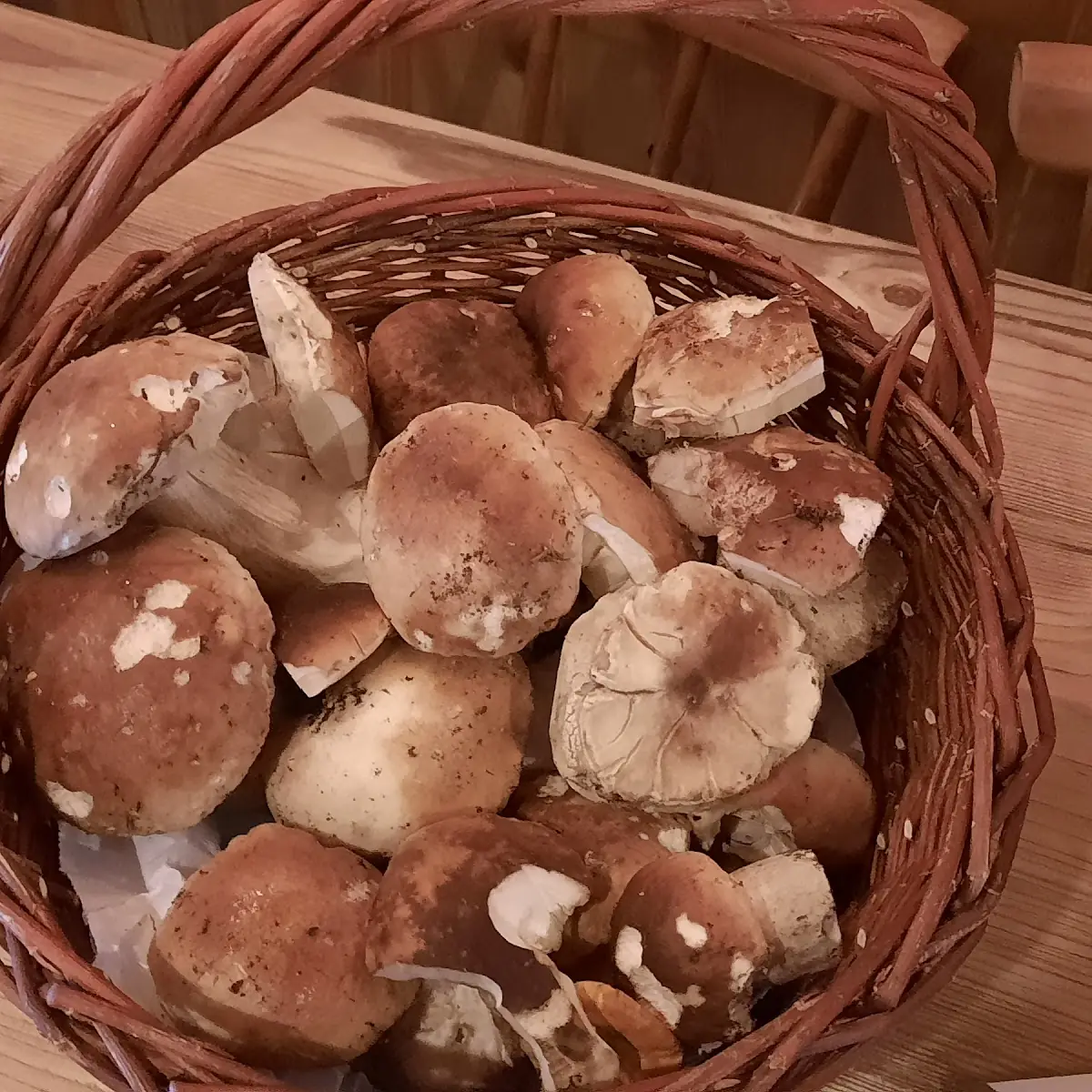Steinpilze