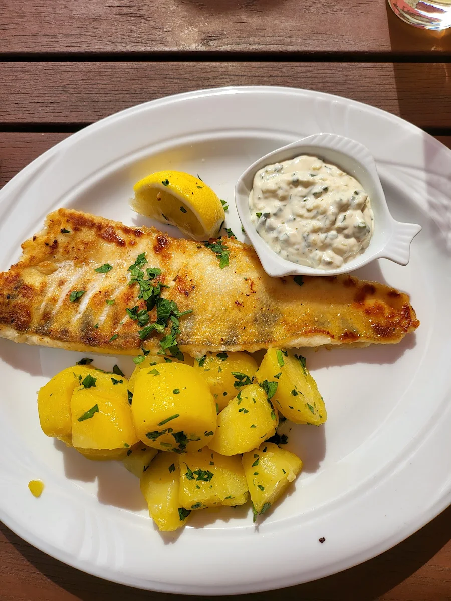 Zander Vom Rost