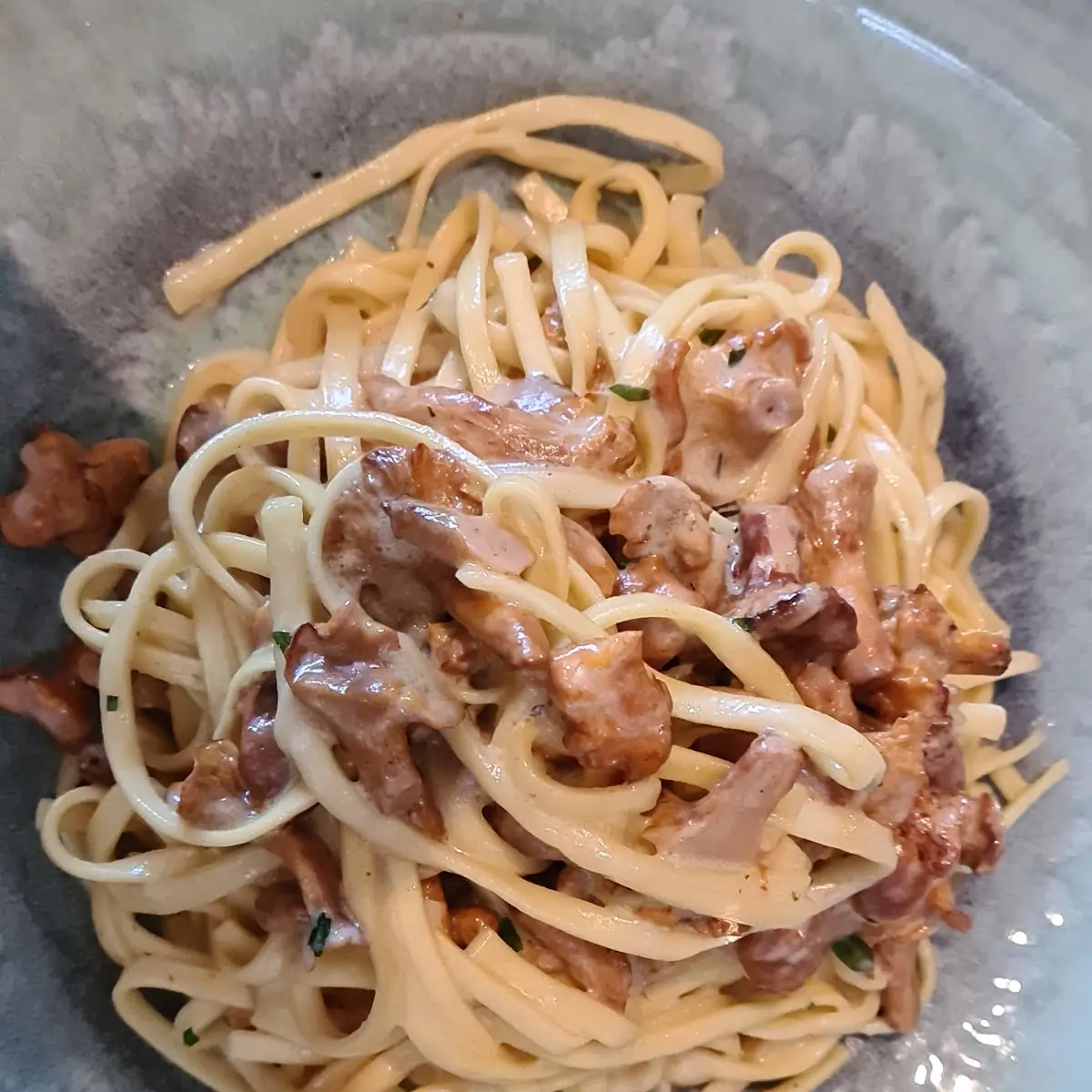 Tagliatelle Mit Eierschwammerl