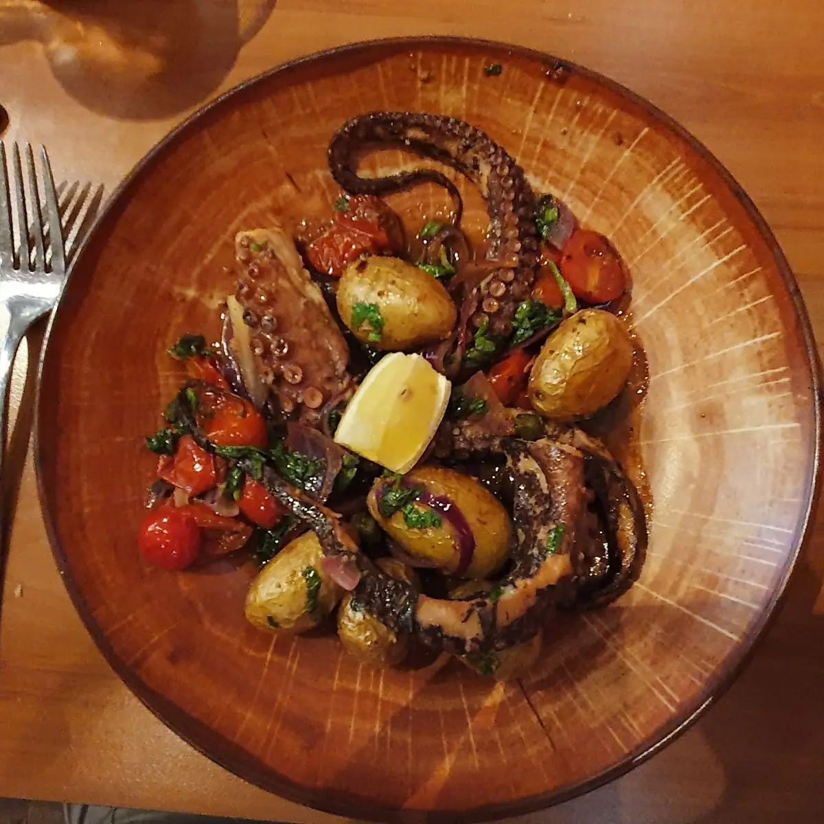 Octopus Aus Galizien