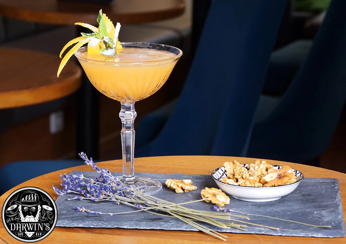 Cocktail
