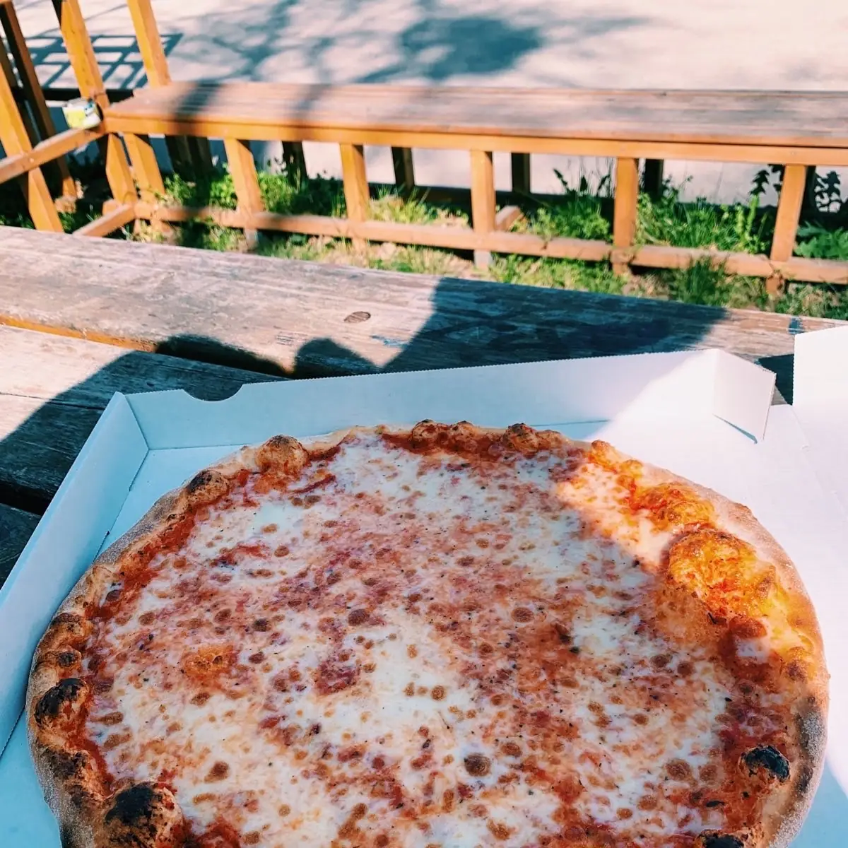 Margherita Pizza