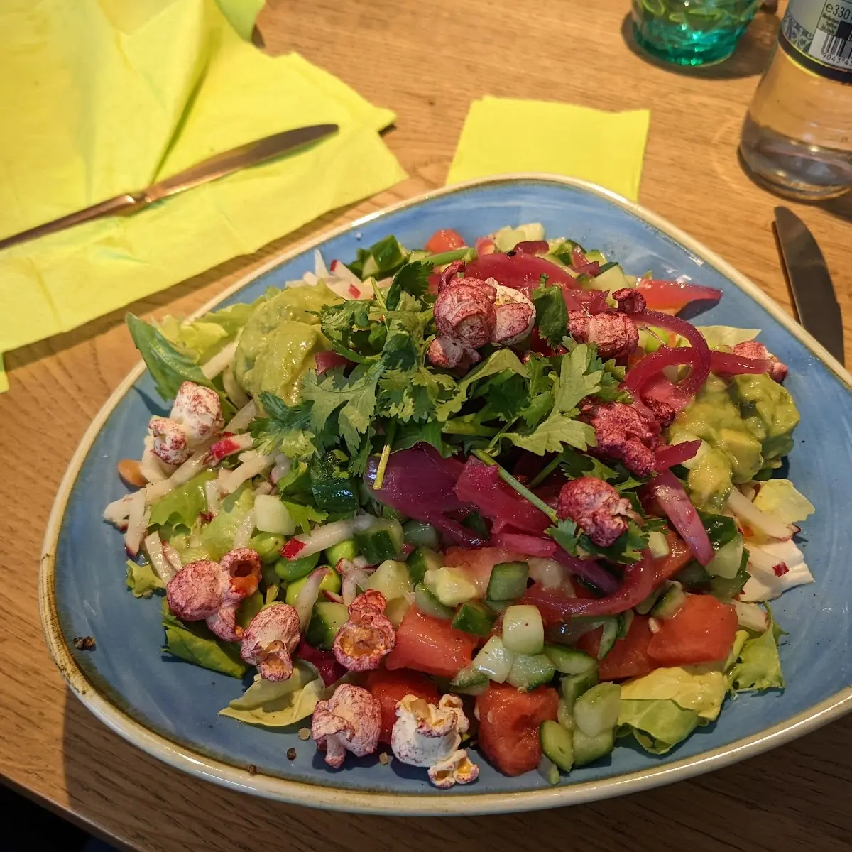 Lachs Avocado Bowl
