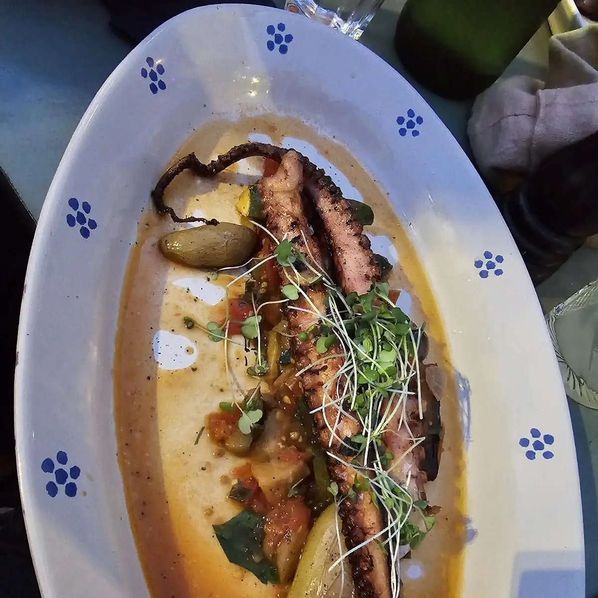 Octopus
