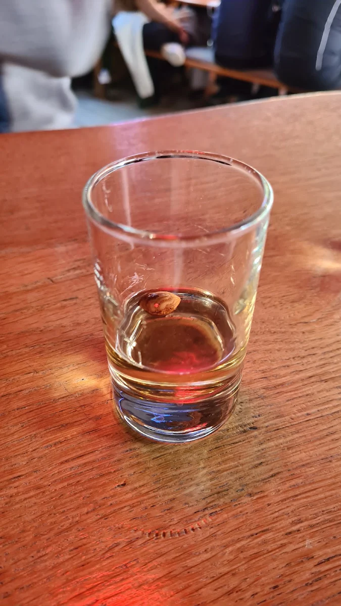Highlight 6