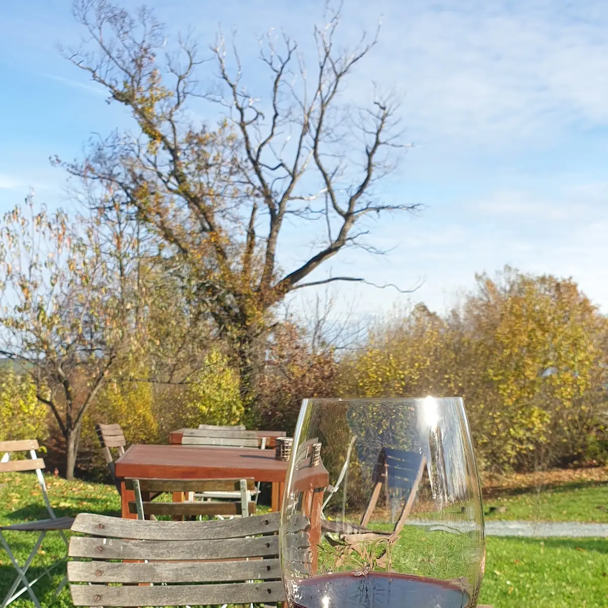 Wine