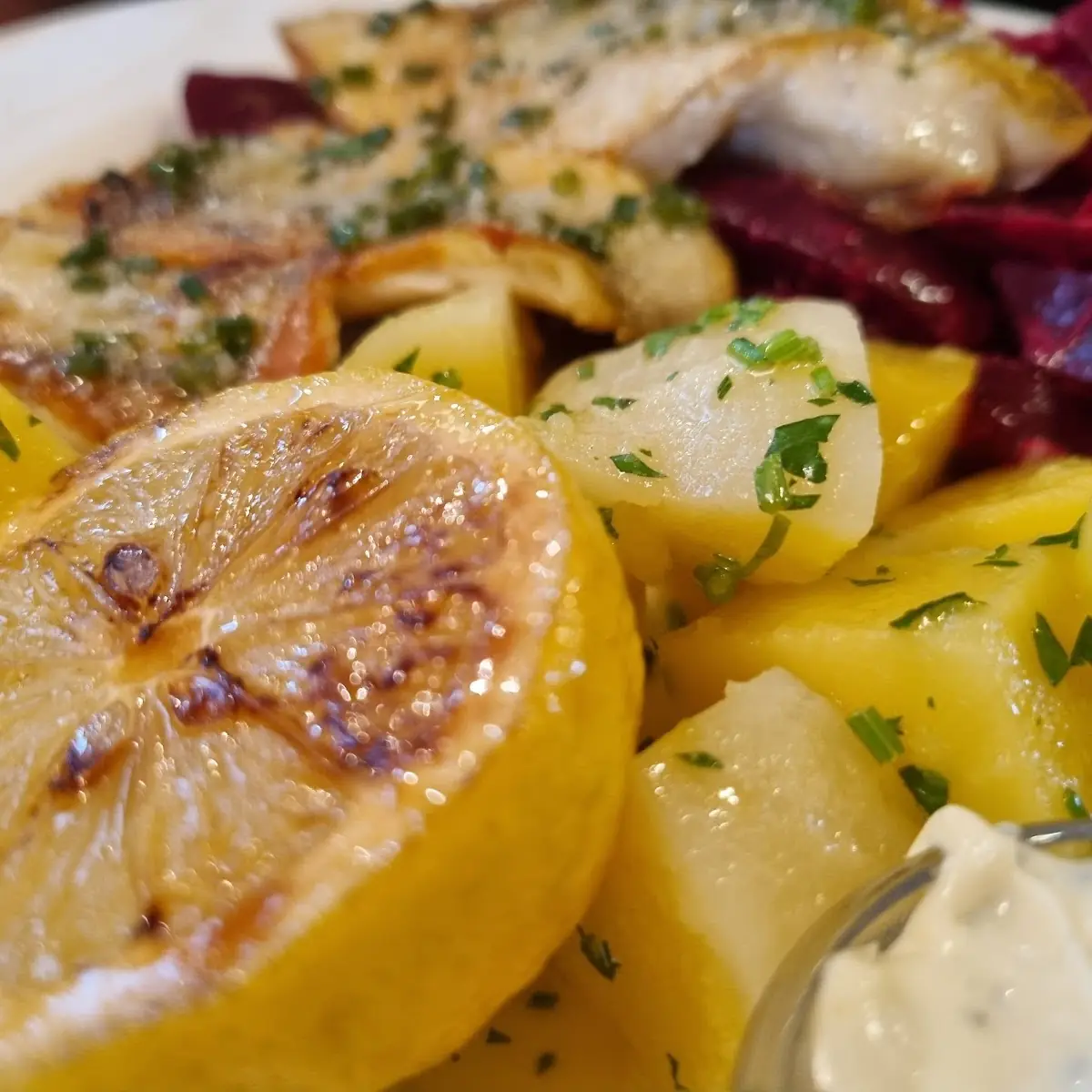 Fisch