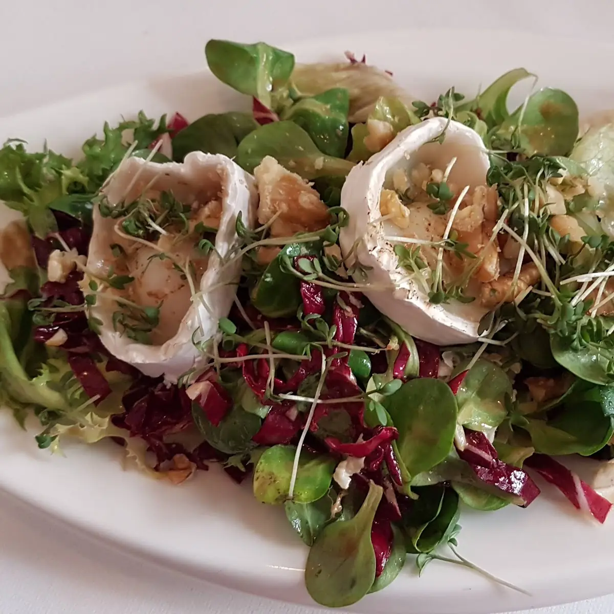 Warmer Ziegenkäse Auf Blattsalat
