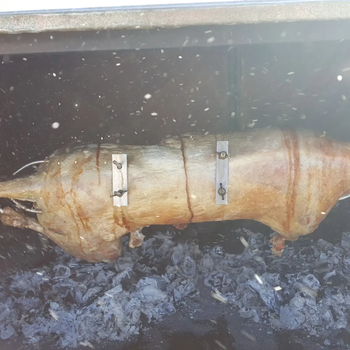 Lamm Fleisch