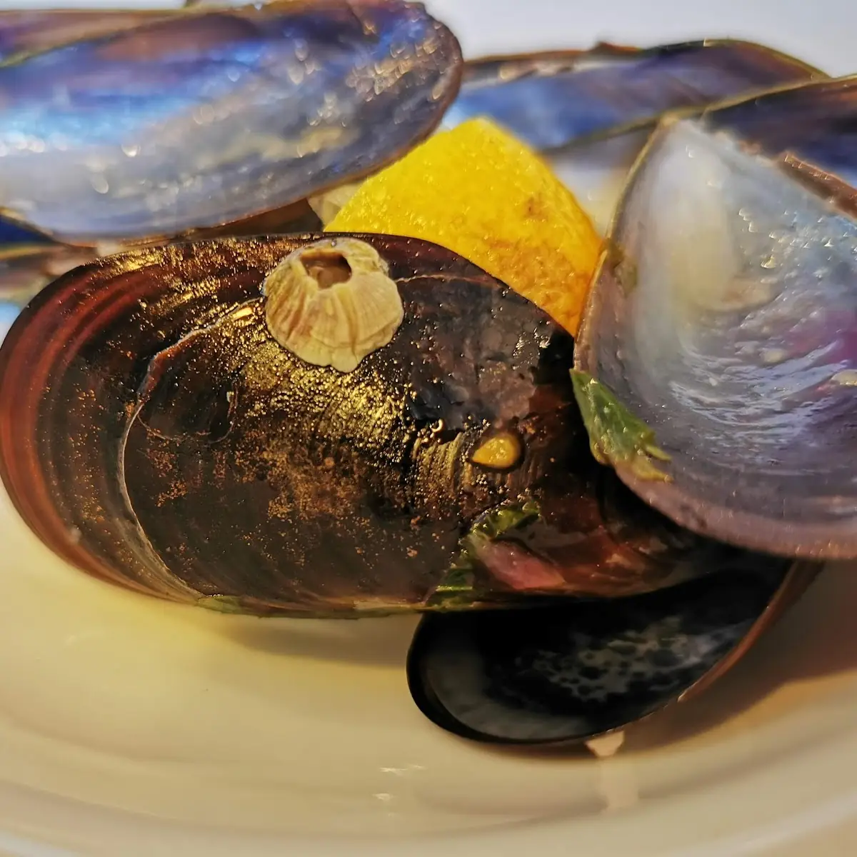 Mejillones Al Vapor
