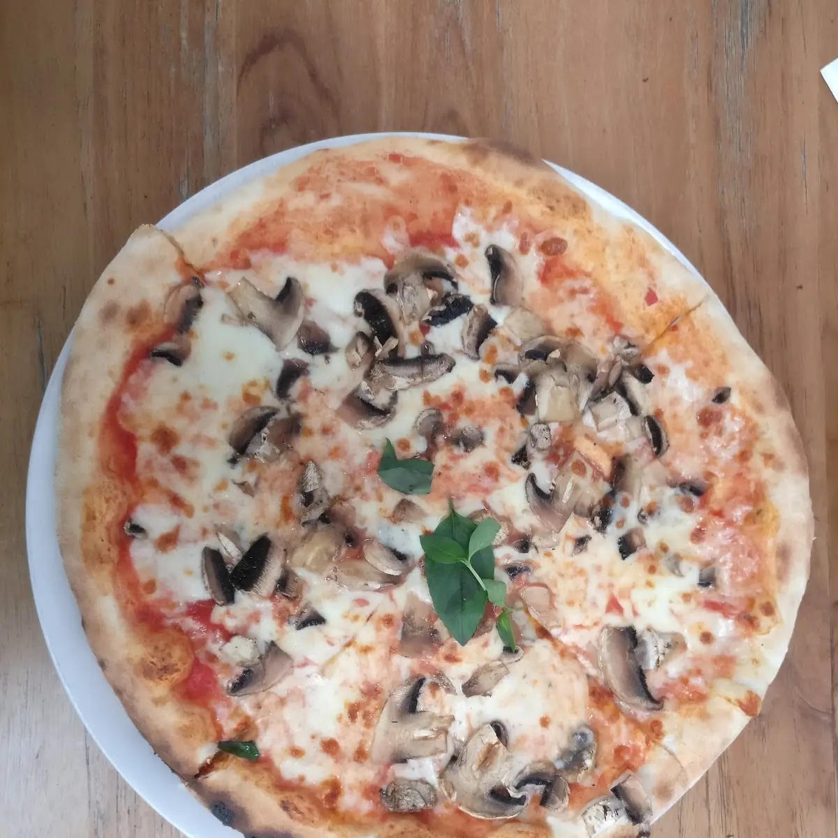 Pizza Tartufo Funghi Porcini e Provola