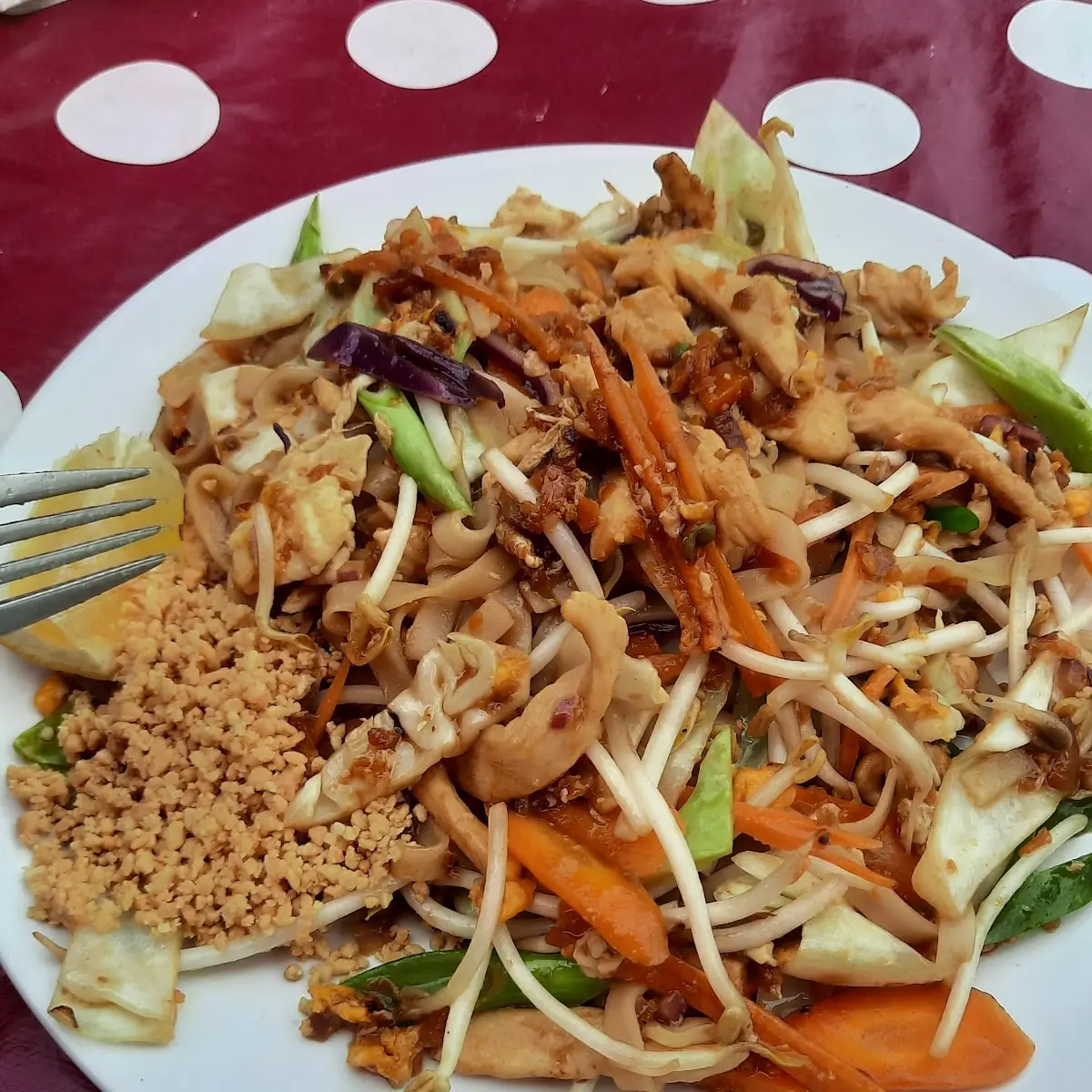Pad Thai Mitt Hunchenfleisch