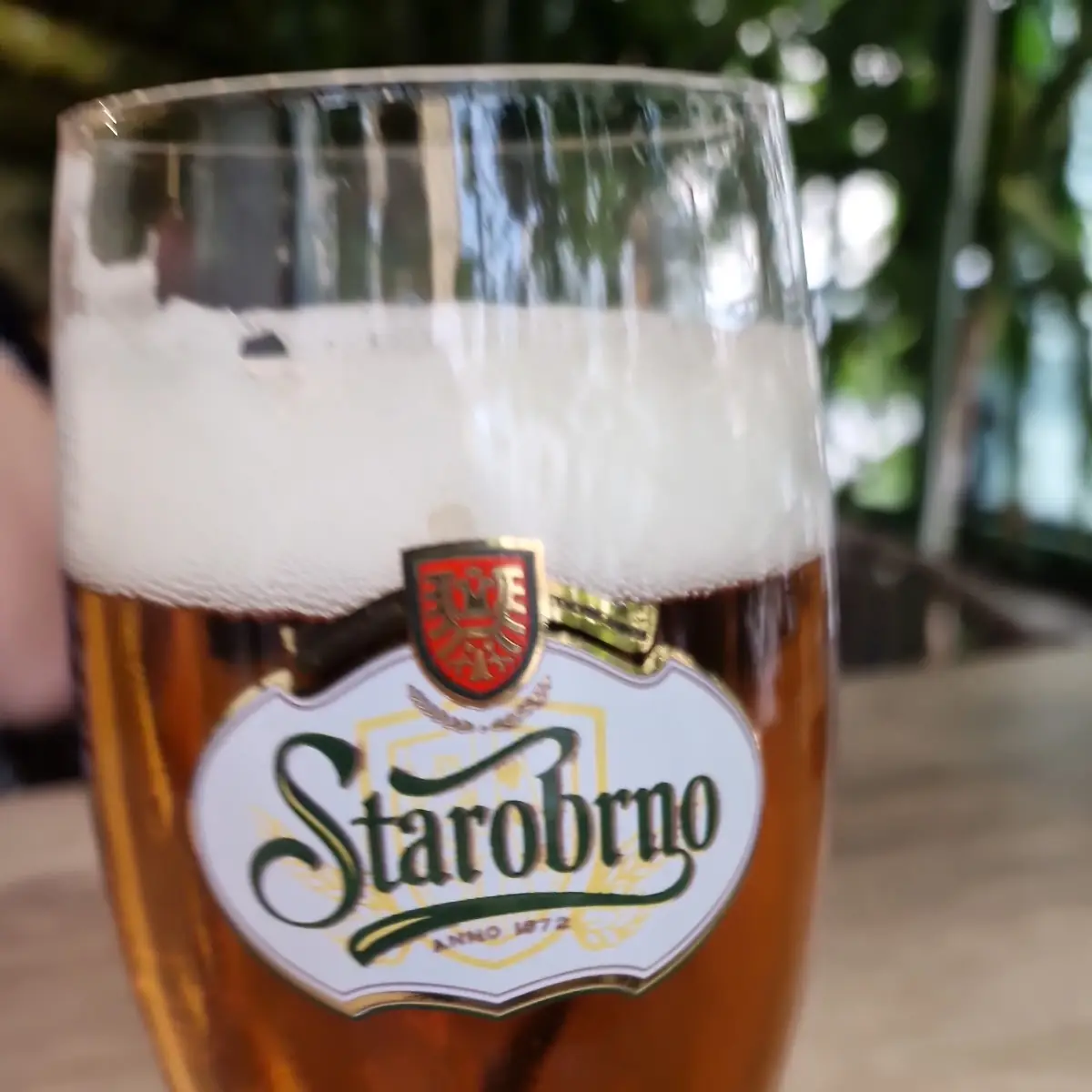 Bier