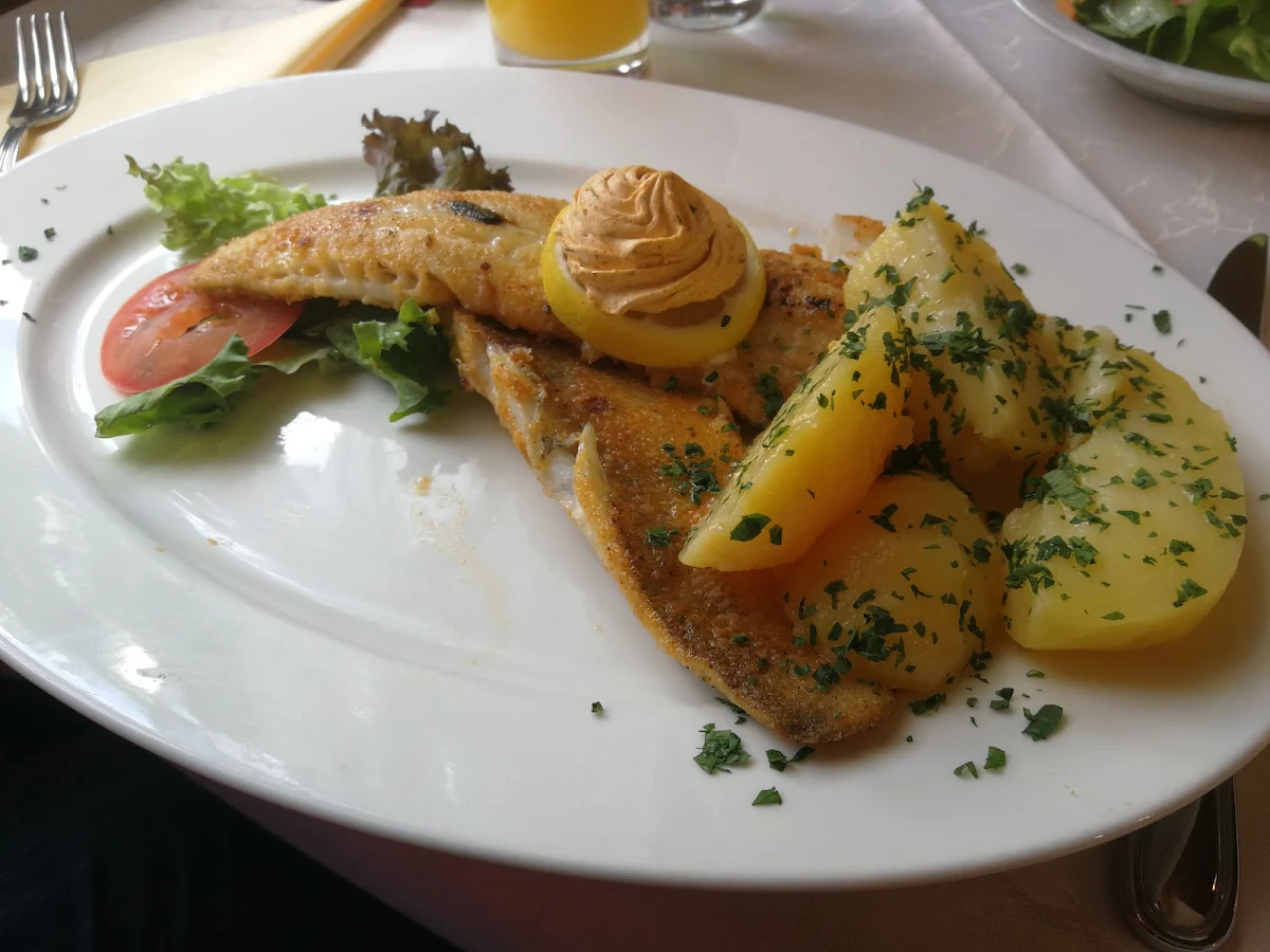 Zanderfilet