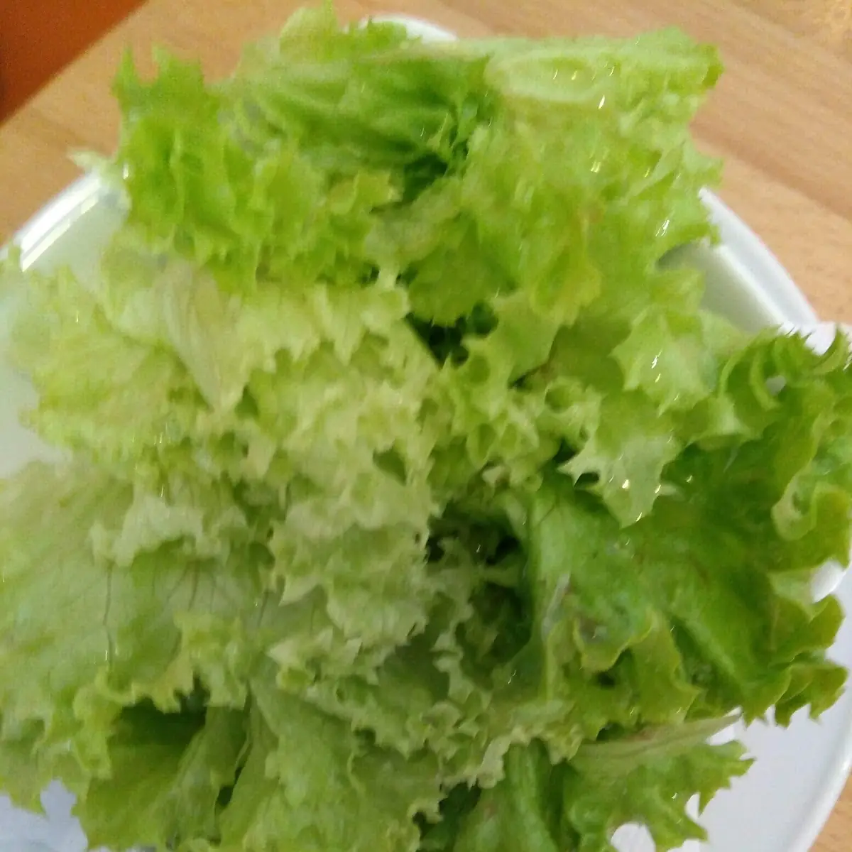 Grüner Salat