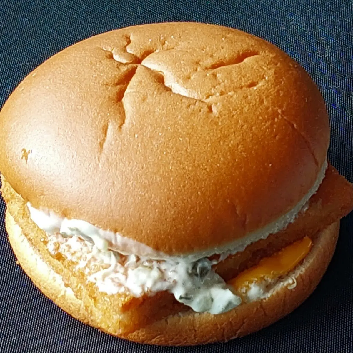 Fisch Mac