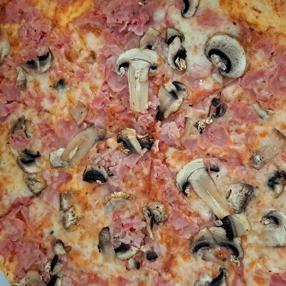 Fiorentina