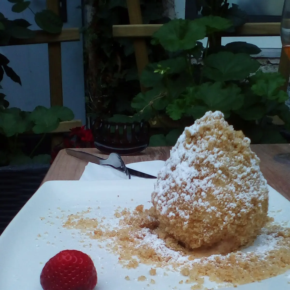 Marillen Knödel Aus Topfenteig