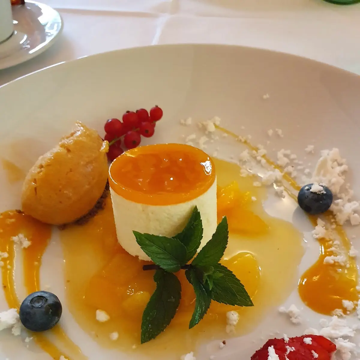 Weißes Marillen-schokomousse
