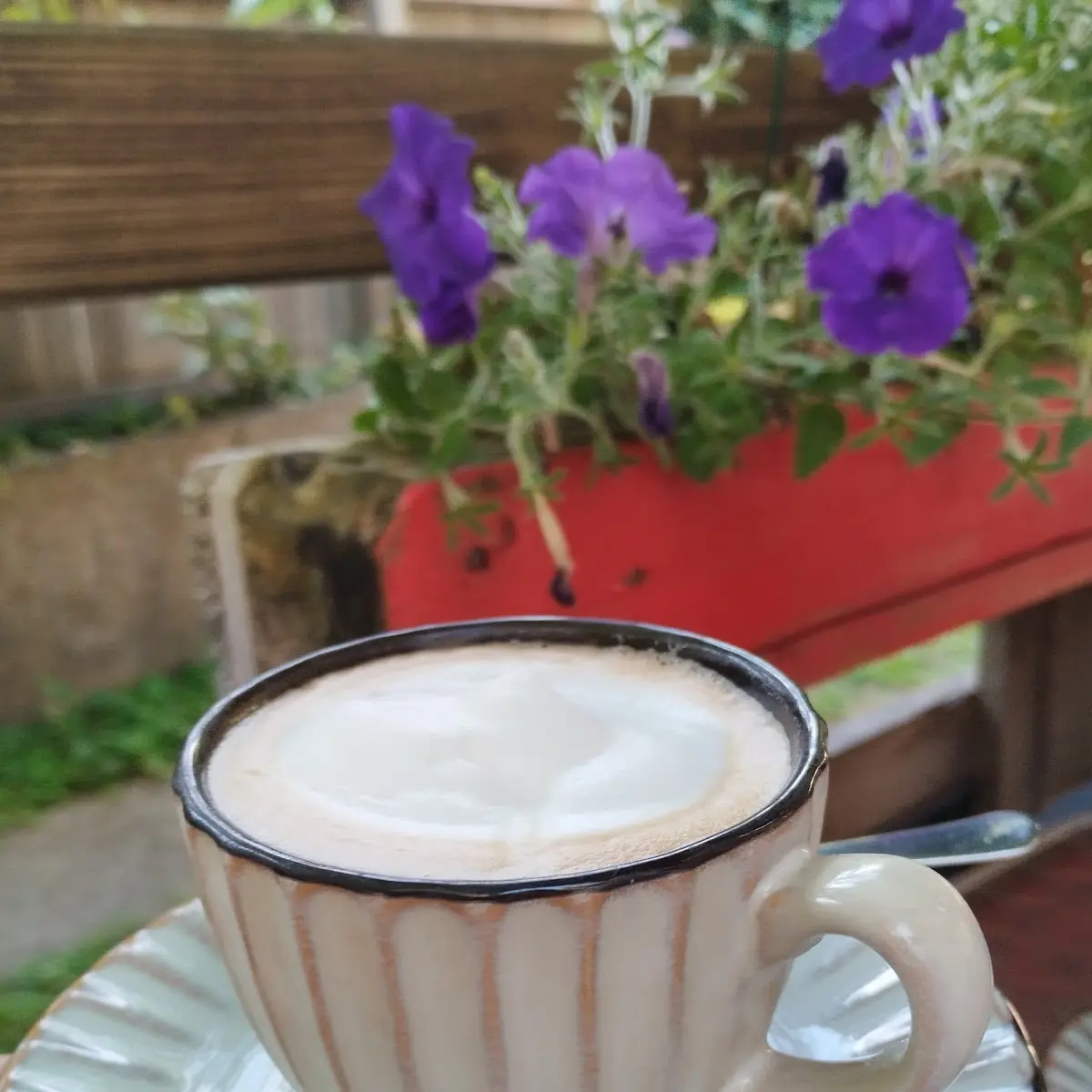Cappuccino