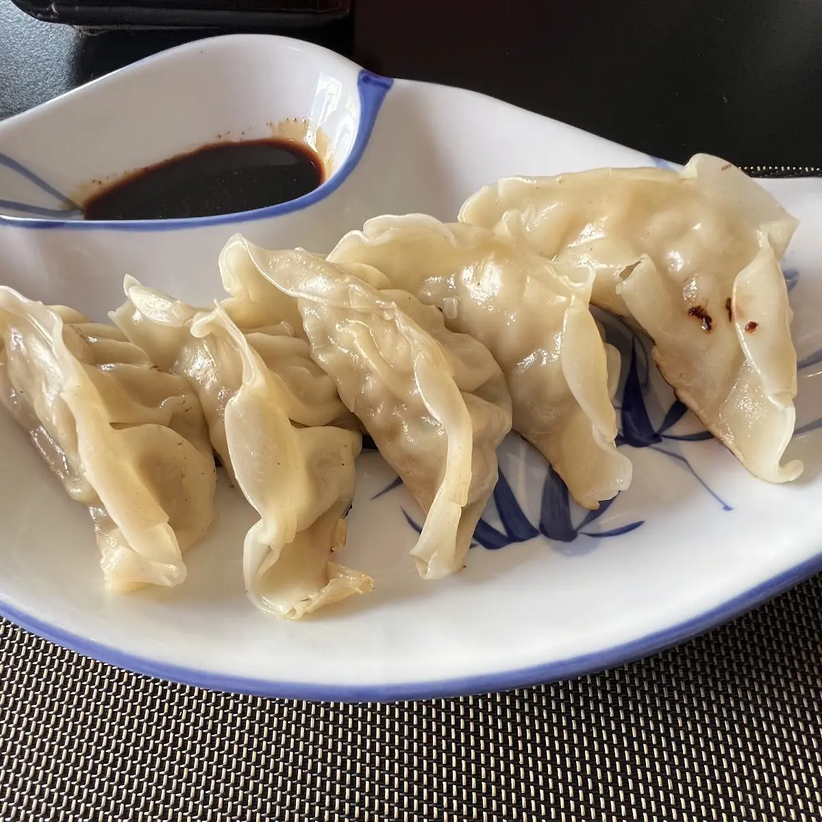 Gyoza Huhn