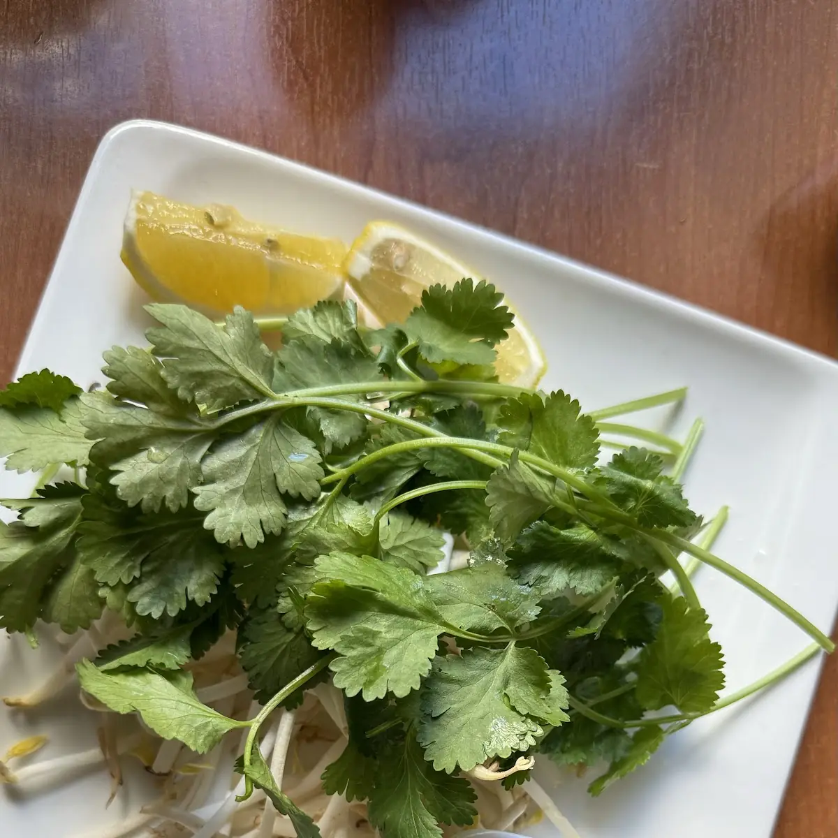 Bean Sprouts