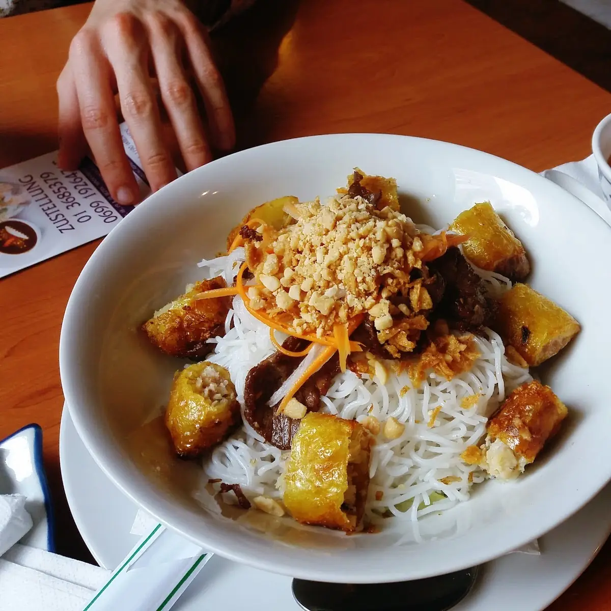 Rice Noodles with Spring Rolls