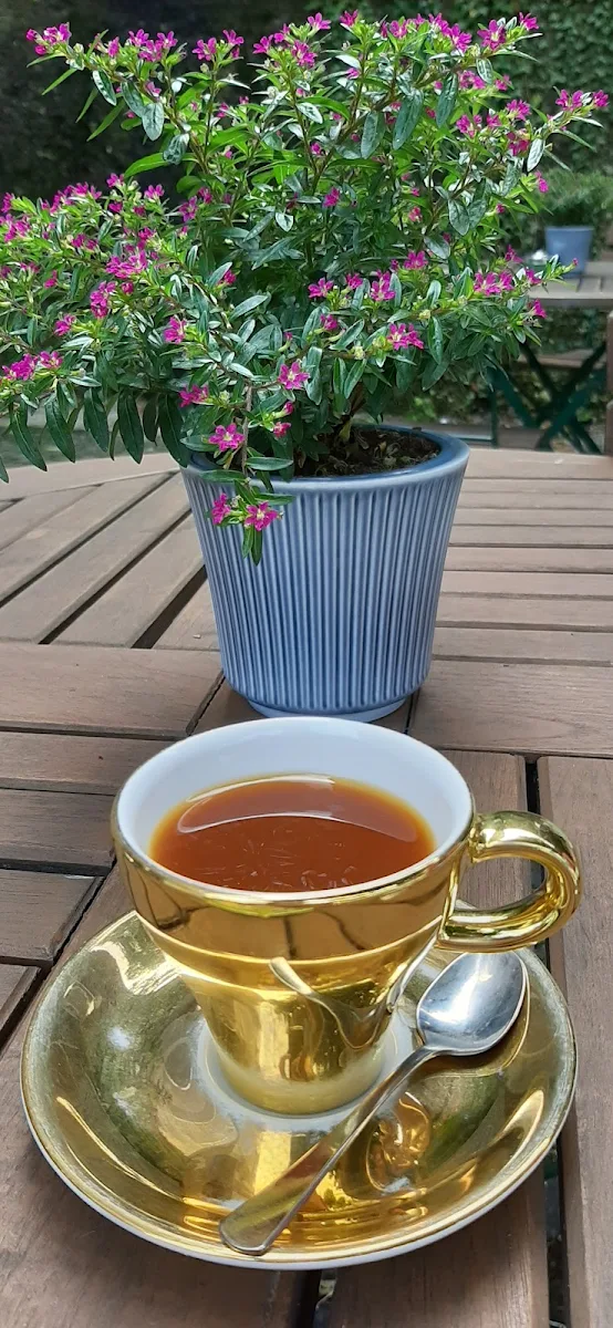 AeroPress Coffee