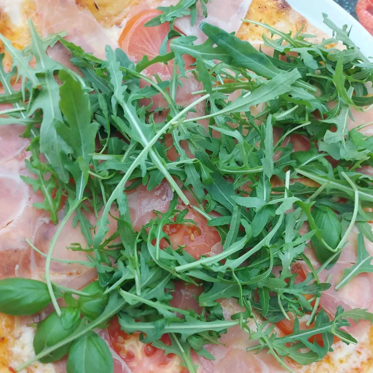 Saisonale Pizza Mit Eierschwammerl Mozzarella Und Rucola