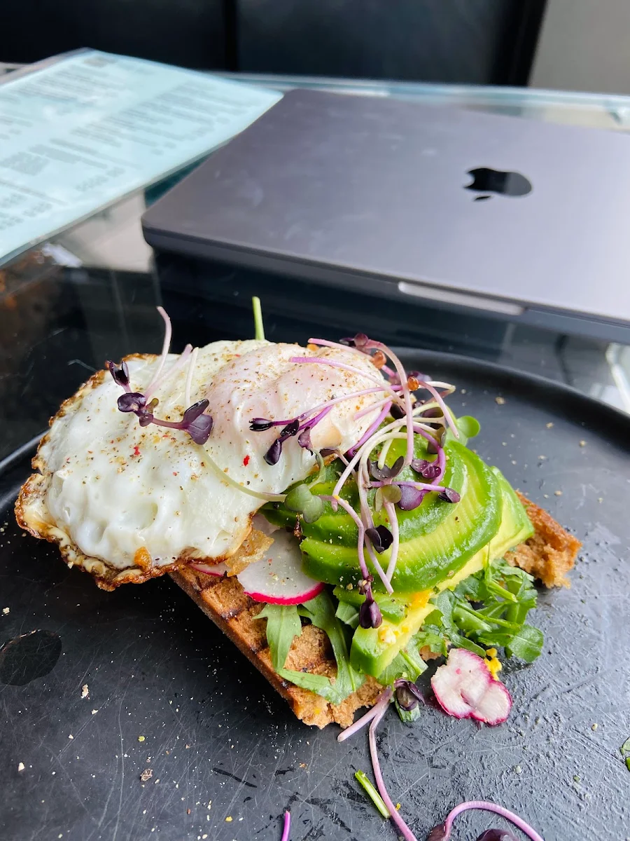 Brot Mit Avocado Und Ei