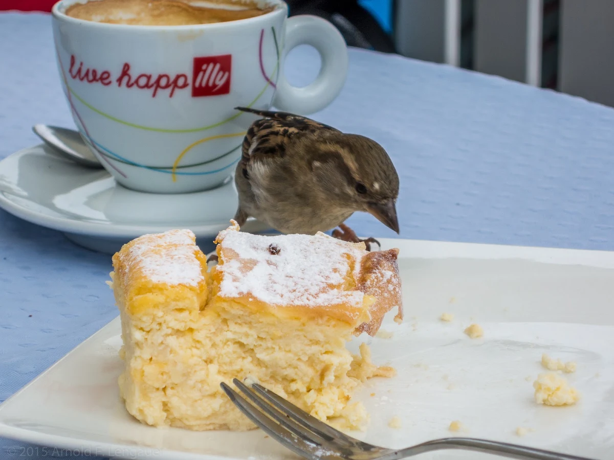 Topfenstrudel