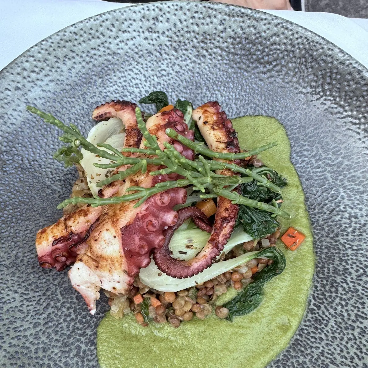 Gegrillter Octopus