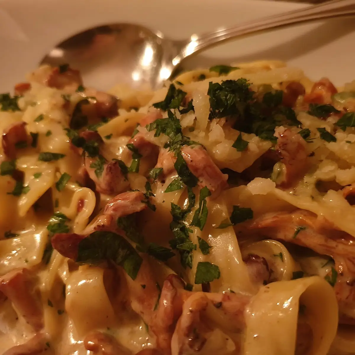 Chanterelle Pappardelle